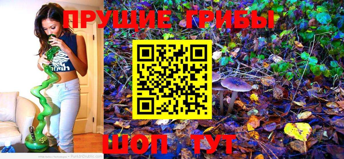 Галлюциногенные грибы мухоморы  Вход с VPN  Канск  Галлюциногенные грибы Psilocybine cubensis 