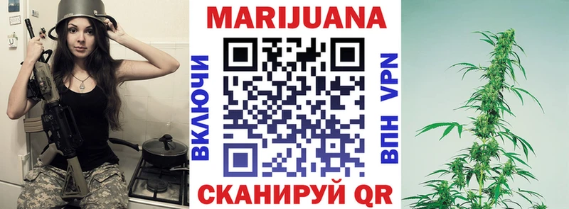 Конопля SATIVA & INDICA  цены   Канск 